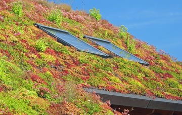 New Alyth living roof systems